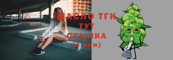 хмурый Болотное