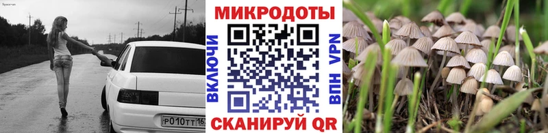 Псилоцибиновые грибы Psilocybe  Заринск 