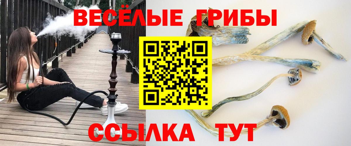 Заринск  Псилоцибиновые грибы мицелий  Вход с VPN  Галлюциногенные грибы Magic Shrooms 