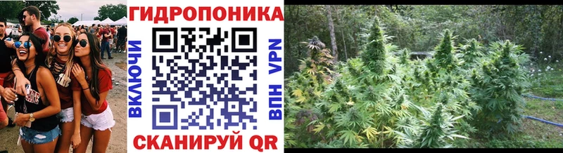 МЕГА вход  Заринск  Каннабис THC 21%  магазин  наркотиков 
