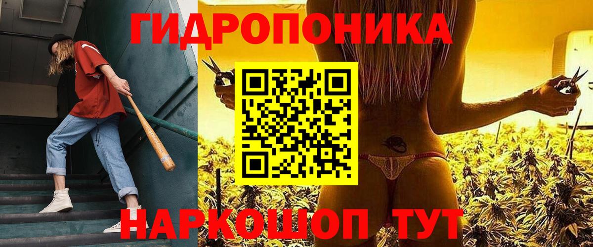 Конопля сатива Заринск